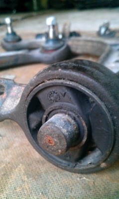 IMAG0517.jpg